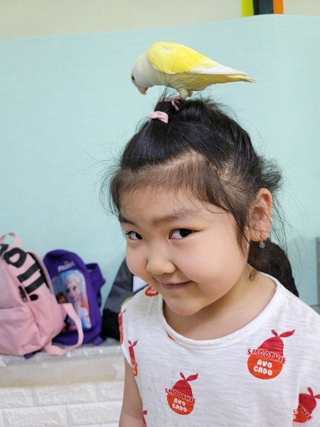 ae96a6c52247fa847475249c1285f118_1744186360_4968.jpg